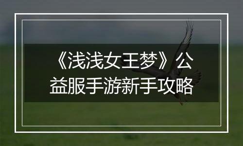 《浅浅女王梦》公益服手游新手攻略