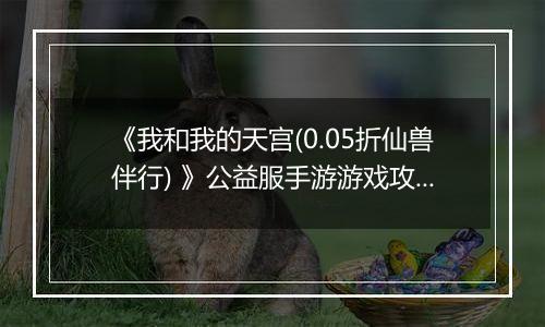 《我和我的天宫(0.05折仙兽伴行) 》公益服手游游戏攻略