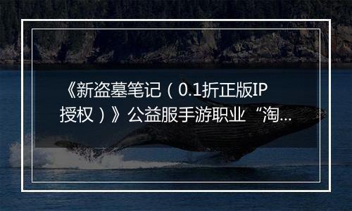 《新盗墓笔记（0.1折正版IP授权）》公益服手游职业“淘沙”技能定位解析