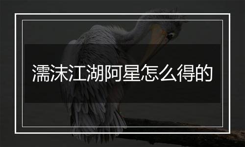 濡沫江湖阿星怎么得的