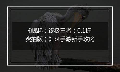 《崛起：终极王者（0.1折爽抽版）》bt手游新手攻略