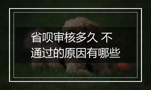 省呗审核多久 不通过的原因有哪些