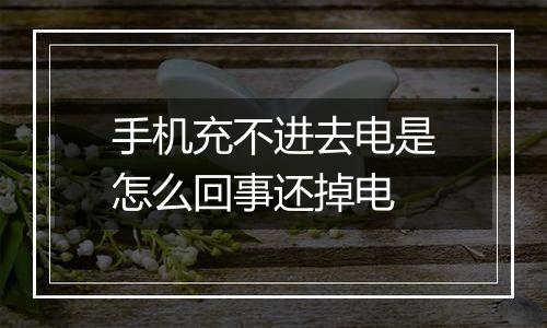 手机充不进去电是怎么回事还掉电