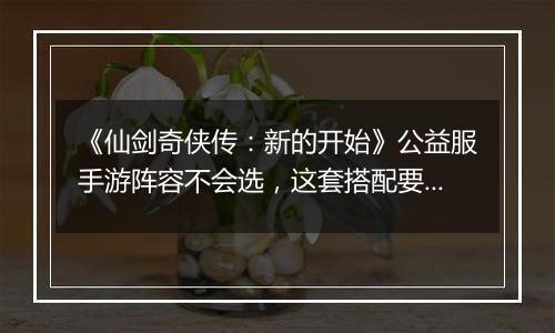 《仙剑奇侠传：新的开始》公益服手游阵容不会选，这套搭配要不试试？