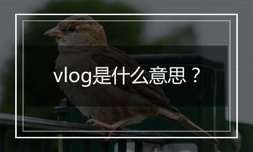vlog是什么意思？