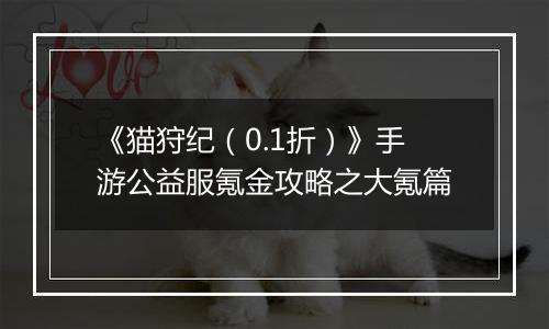 《猫狩纪（0.1折）》手游公益服氪金攻略之大氪篇