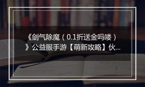 《剑气除魔（0.1折送金吗喽）》公益服手游【萌新攻略】伙伴的选择