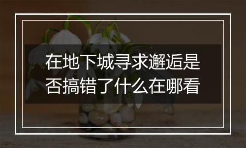 在地下城寻求邂逅是否搞错了什么在哪看