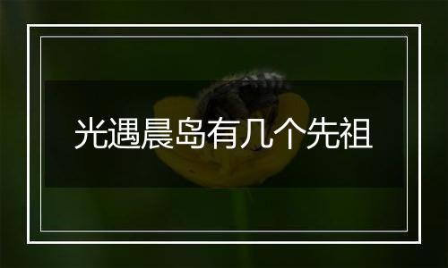 光遇晨岛有几个先祖
