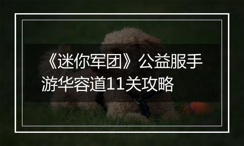 《迷你军团》公益服手游华容道11关攻略