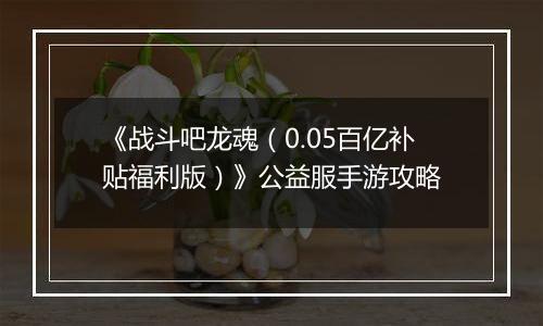 《战斗吧龙魂（0.05百亿补贴福利版）》公益服手游攻略