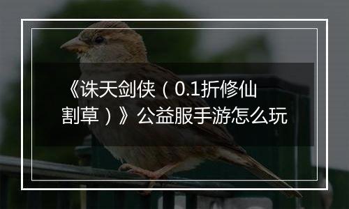 《诛天剑侠（0.1折修仙割草）》公益服手游怎么玩