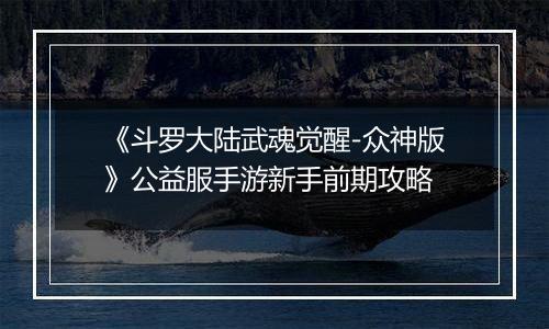 《斗罗大陆武魂觉醒-众神版》公益服手游新手前期攻略