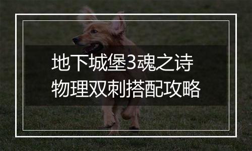 地下城堡3魂之诗物理双刺搭配攻略