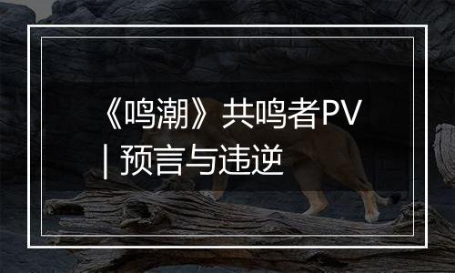 《鸣潮》共鸣者PV | 预言与违逆