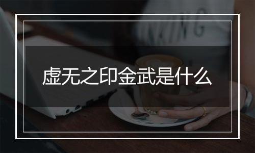 虚无之印金武是什么
