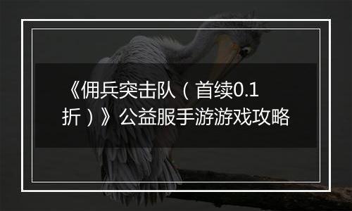 《佣兵突击队（首续0.1折）》公益服手游游戏攻略