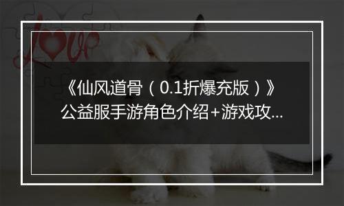 《仙风道骨（0.1折爆充版）》公益服手游角色介绍+游戏攻略
