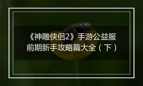 《神雕侠侣2》手游公益服前期新手攻略篇大全（下）