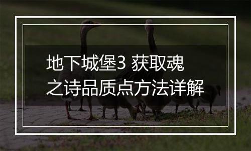 地下城堡3 获取魂之诗品质点方法详解