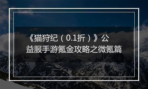 《猫狩纪（0.1折）》公益服手游氪金攻略之微氪篇