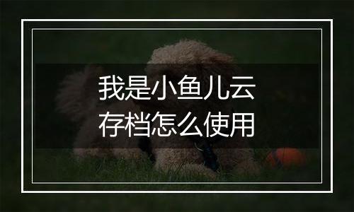 我是小鱼儿云存档怎么使用