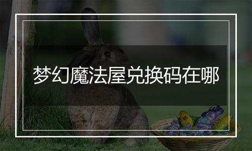 梦幻魔法屋兑换码在哪