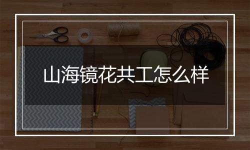 山海镜花共工怎么样