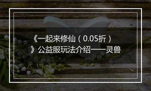 《一起来修仙（0.05折）》公益服玩法介绍一一灵兽