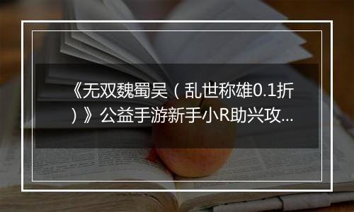 《无双魏蜀吴（乱世称雄0.1折）》公益手游新手小R助兴攻略