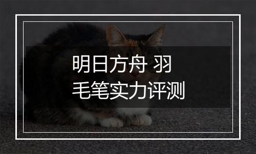 明日方舟 羽毛笔实力评测