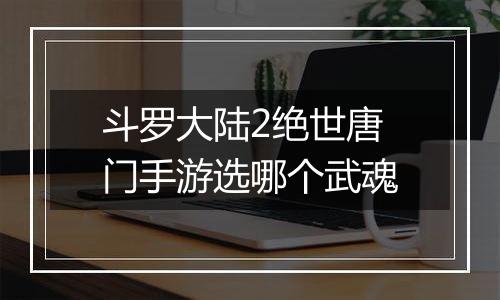 斗罗大陆2绝世唐门手游选哪个武魂