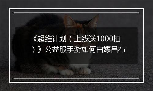 《超维计划（上线送1000抽）》公益服手游如何白嫖吕布