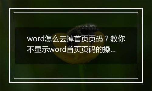 word怎么去掉首页页码？教你不显示word首页页码的操作方法