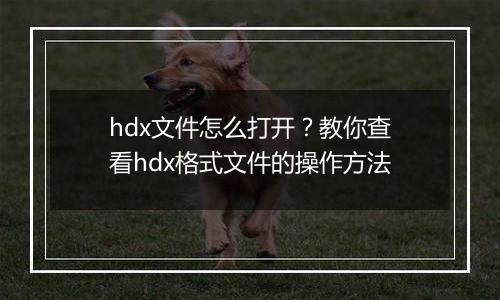 hdx文件怎么打开？教你查看hdx格式文件的操作方法