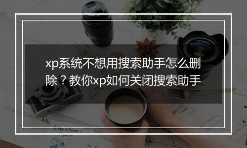 xp系统不想用搜索助手怎么删除？教你xp如何关闭搜索助手