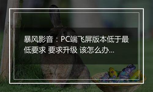 暴风影音：PC端飞屏版本低于最低要求 要求升级 该怎么办？
