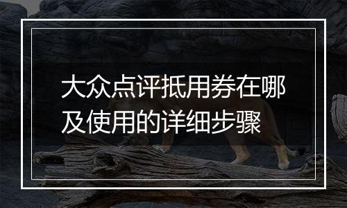 大众点评抵用券在哪及使用的详细步骤