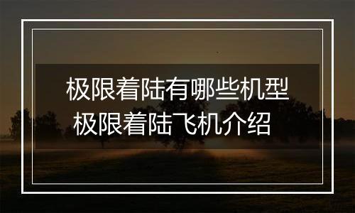 极限着陆有哪些机型 极限着陆飞机介绍