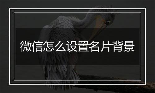 微信怎么设置名片背景