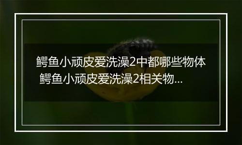 鳄鱼小顽皮爱洗澡2中都哪些物体 鳄鱼小顽皮爱洗澡2相关物体介绍