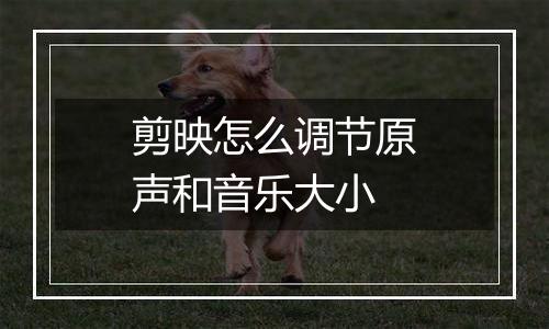 剪映怎么调节原声和音乐大小