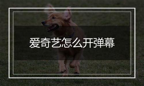 爱奇艺怎么开弹幕