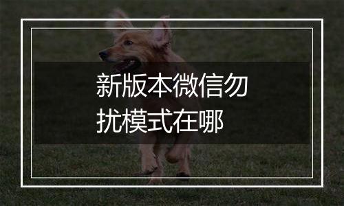 新版本微信勿扰模式在哪