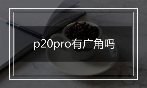 p20pro有广角吗