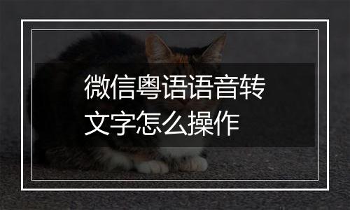 微信粤语语音转文字怎么操作