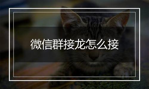 微信群接龙怎么接