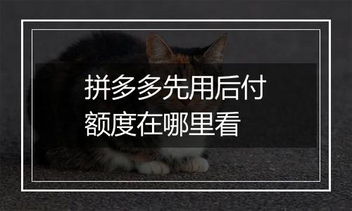 拼多多先用后付额度在哪里看