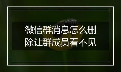 微信群消息怎么删除让群成员看不见