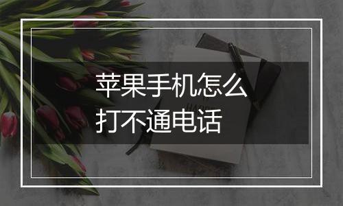 苹果手机怎么打不通电话